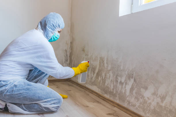 Mold Remediation specialist working in Silver Spring